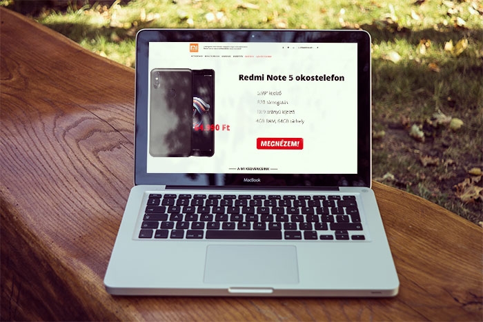 content/portfolio/xiaomishop.jpg